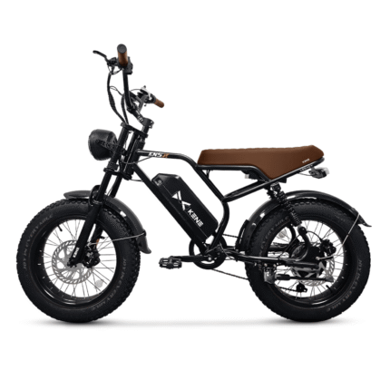 Vélo électrique KENE KN5